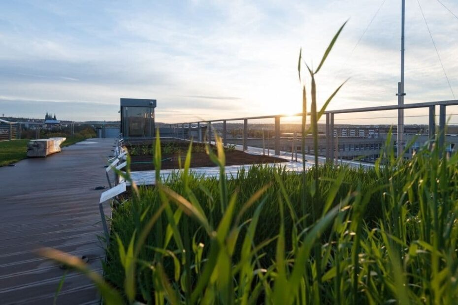 Výhledy na Prahu a Slunce, střešní terasa Národního zemědělského muzea