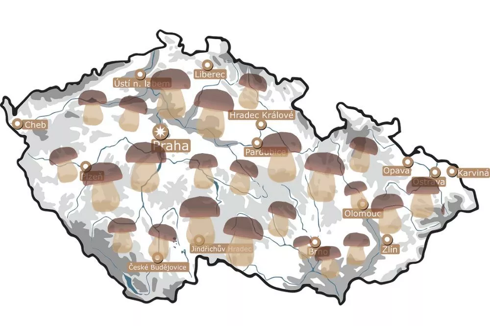 Houby mapa Česko