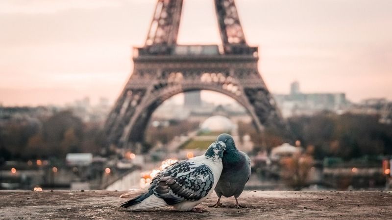 Paříž, město zamilovaných
